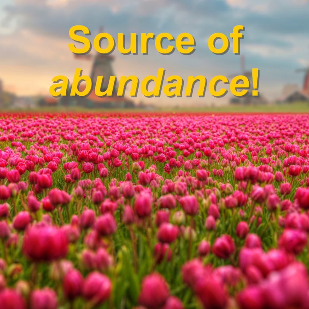 HYLE - Archive Blog Posts (53)