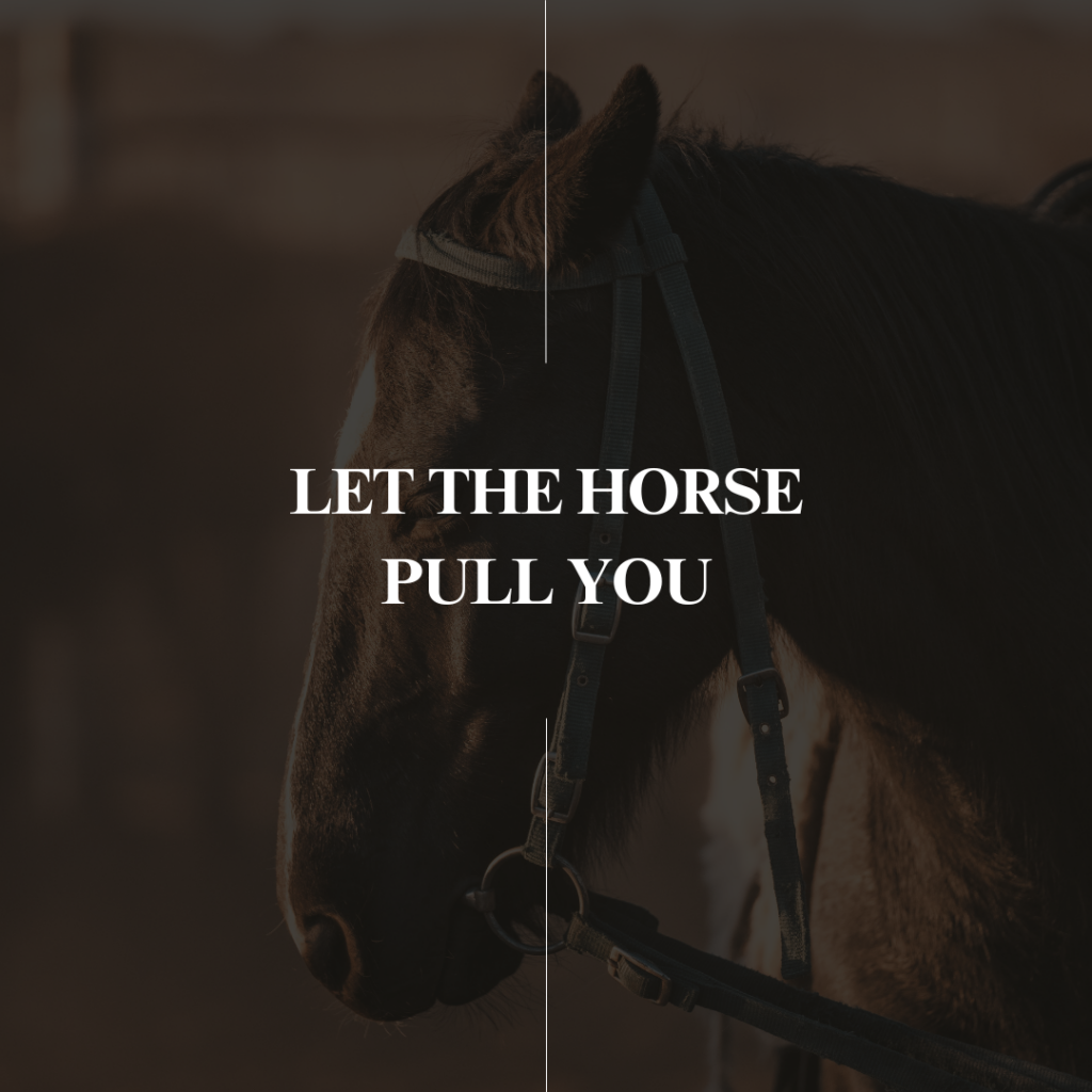 Let the horse pull you