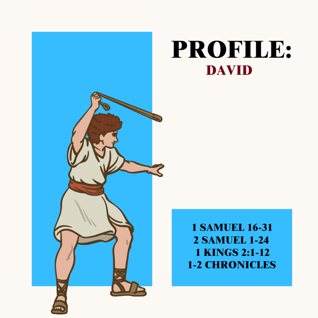 Profile David