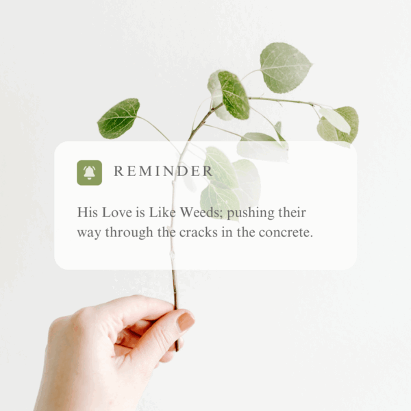 His Love is Like Weeds