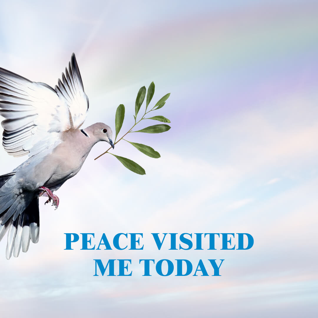 Peace Visited Me Today